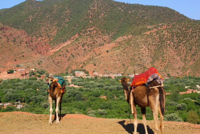 Day excursion to Ourika Valley