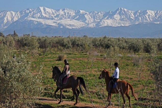 horse ride in the desert of Agafay